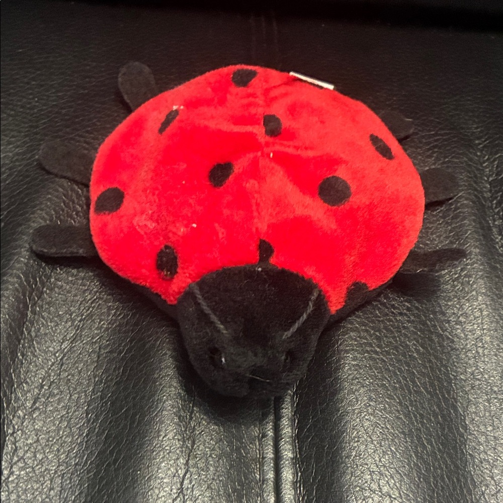 TY Lucky Beanie Baby